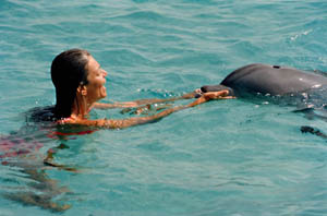 Marina with Dolphin